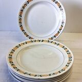 6 Villeroy & Boch dinner plates in good condition