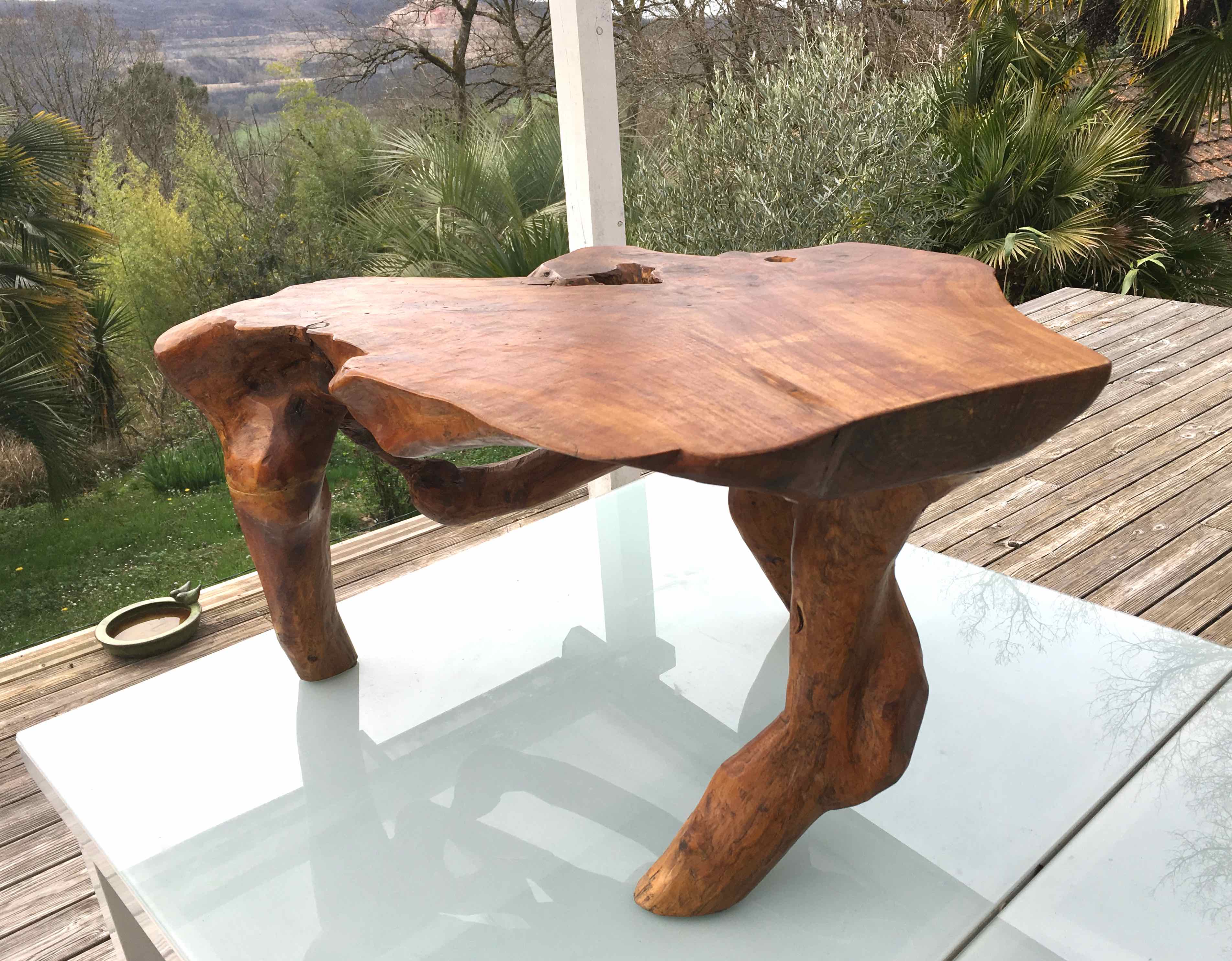 Brutalist teak root coffee table