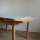 Vintage extendable table 224cm/81cm