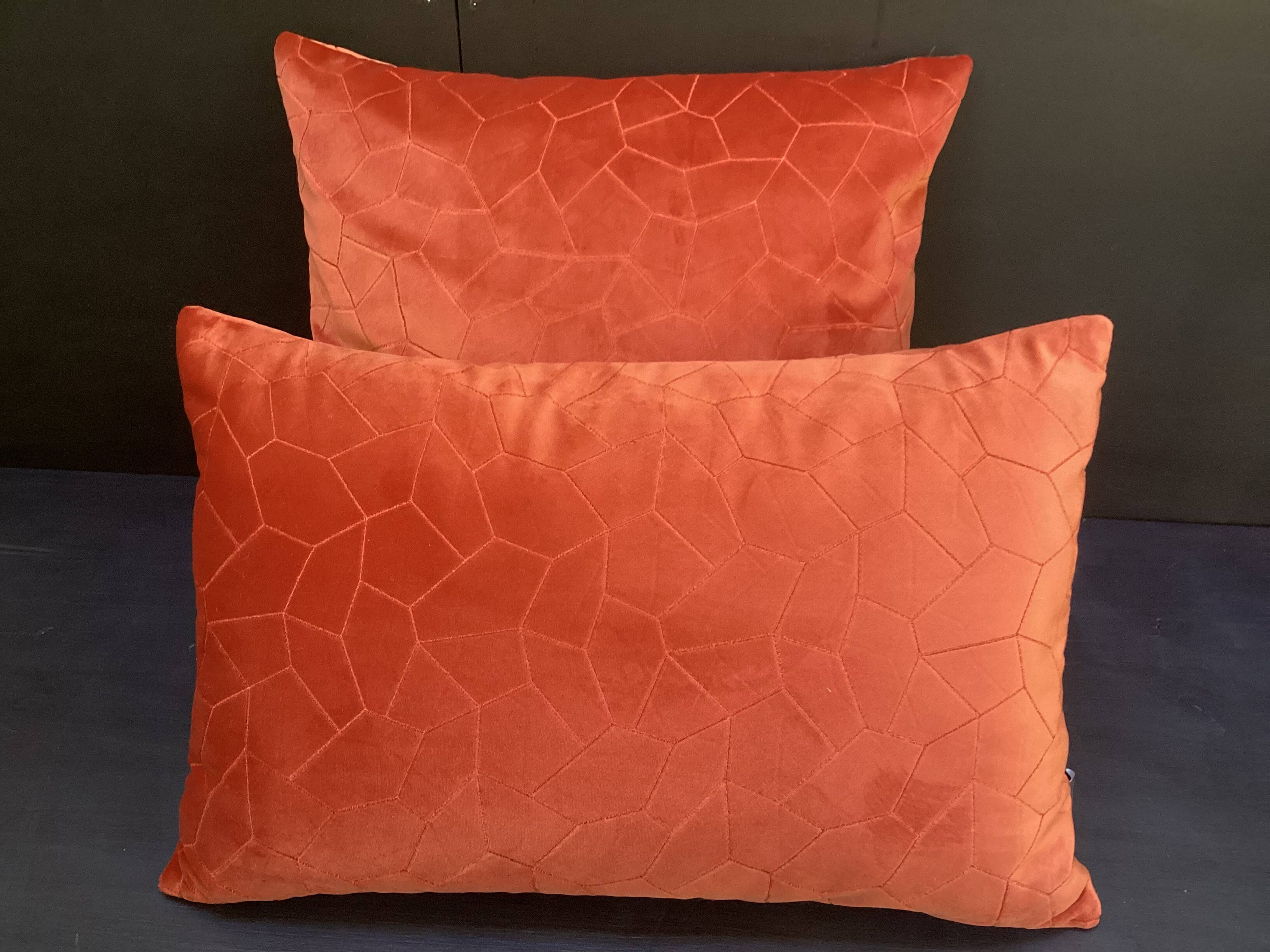 Duo of rust velvet cushions 50x50/40x58 cm