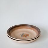 Set of 5 Gien stoneware soup plates with flowers 1970