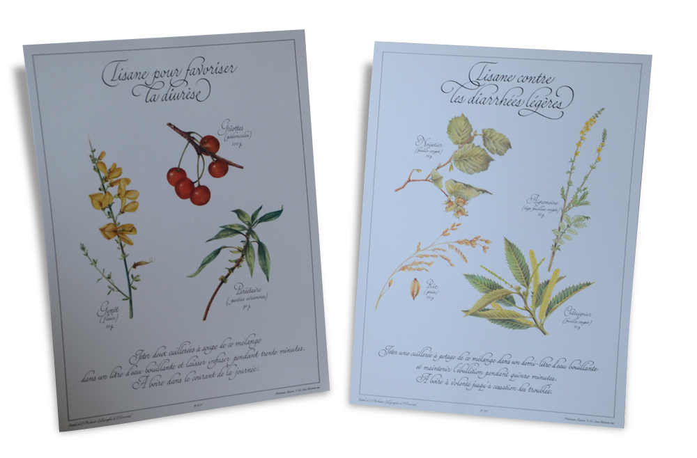 Botanical plates