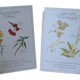 Botanical plates