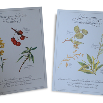 Botanical plates