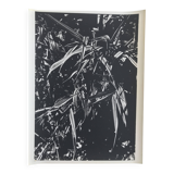 Rosine NUSIMOVICI, Untitled (Poacea I), 1980. Black and white silver print
