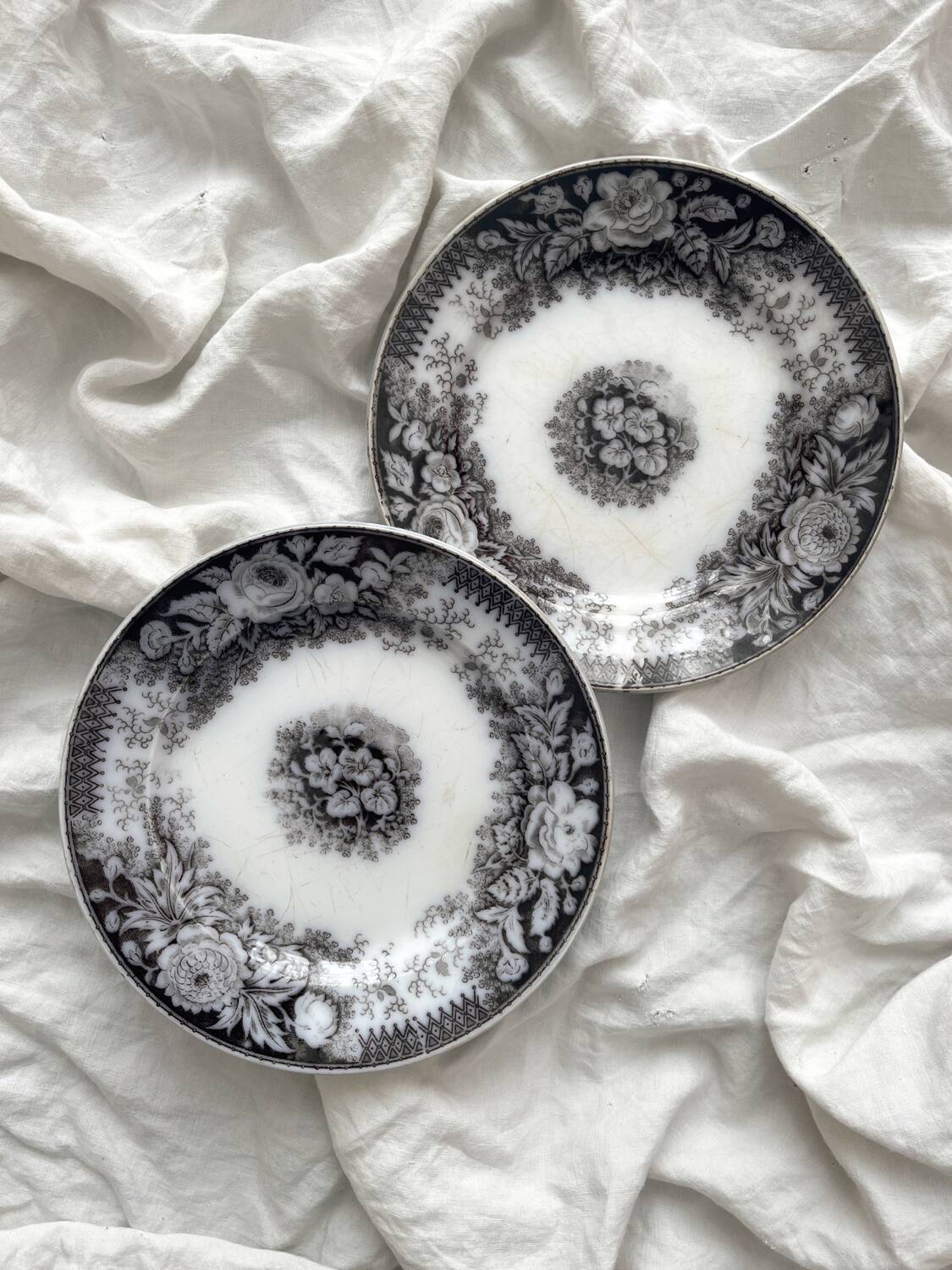 2 assiettes à dessert en terre de fer «Jardinière» U&C Sarreguemines