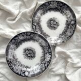 2 “Jardinière” ironstone dessert plates U&C Sarreguemines