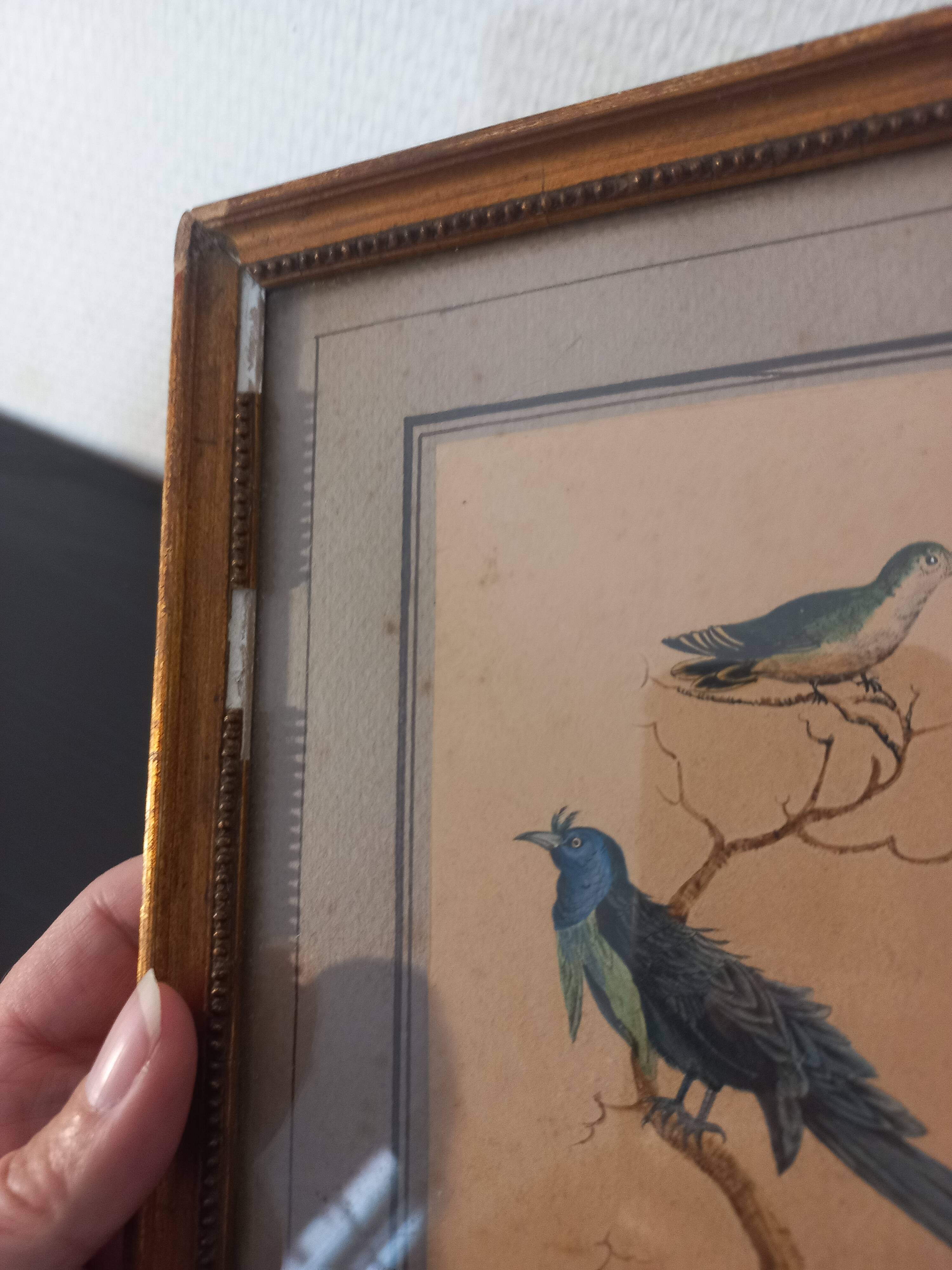 Golden table Blue birds Antique framed, Paris Gallery