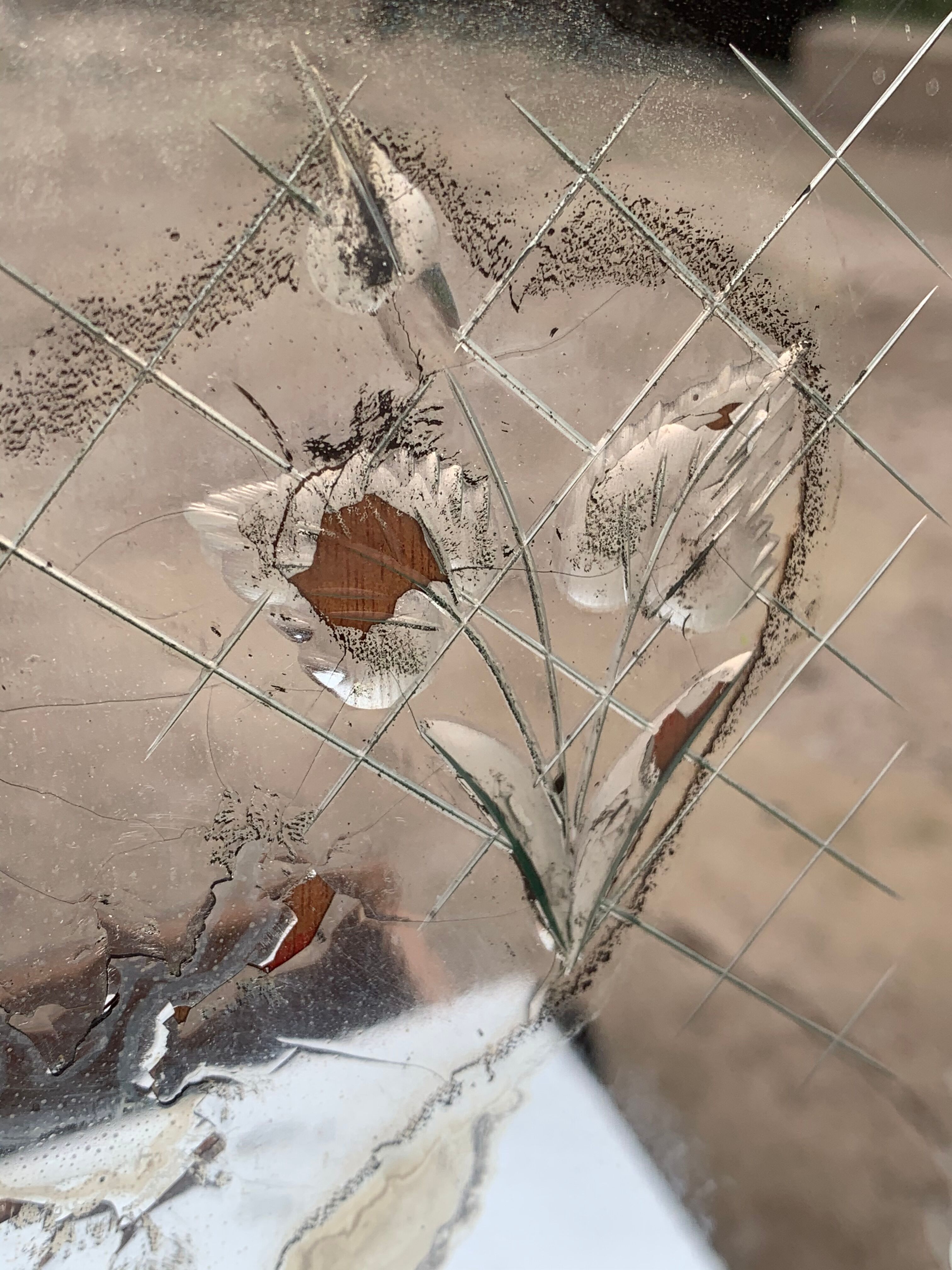 Venetian hairdresser 1950