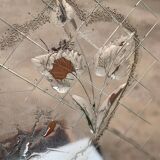 Venetian hairdresser 1950