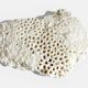 Sculptural White Coral Fossil, Organic Modern Decor from South Asia