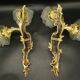 Paire de grandes appliques style Rocaille / Rococo fin XIXe