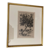Dessin à l’encre  P.Baudier
