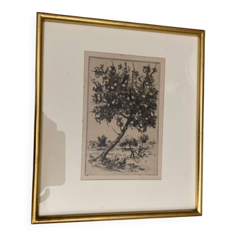 Dessin à l’encre  P.Baudier