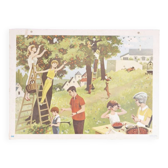 Affiche scolaire "la cueillette"