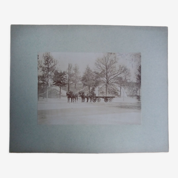 Photographie ancienne 1900 carriole cocher et chevaux