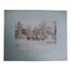 Old photograph from 1900 of a carriage, coachman, and horses.