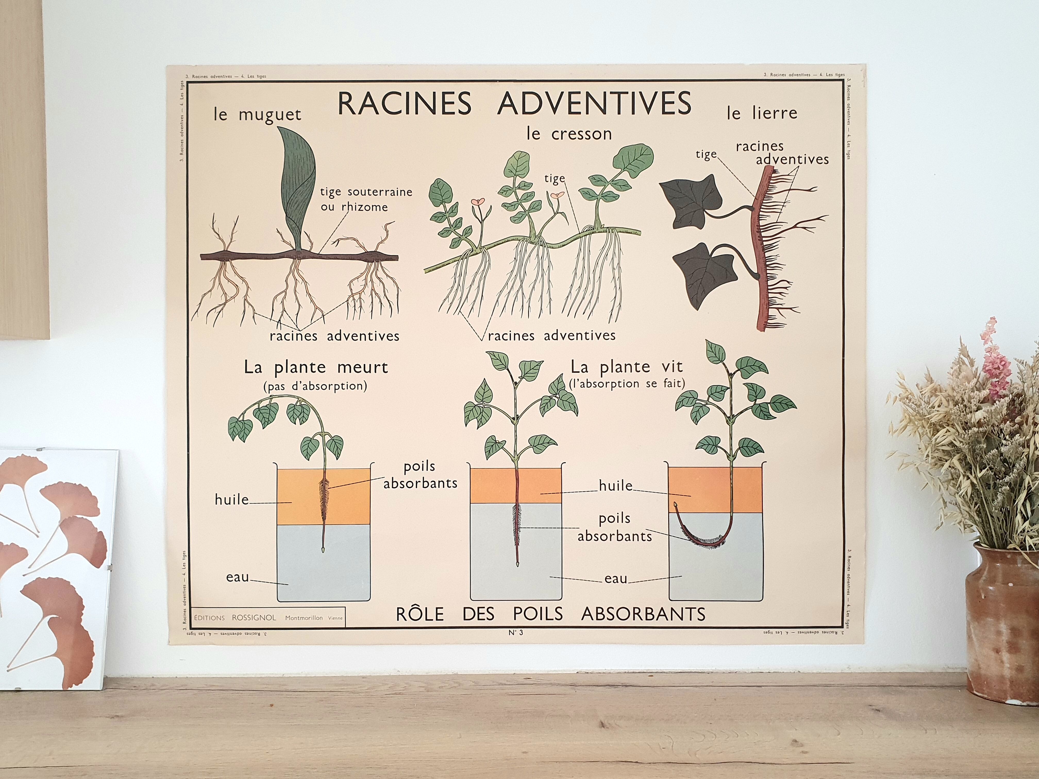 Rossignol school poster