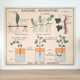 Rossignol school poster