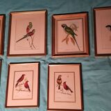 Set of 7 framed ornithological lithographs