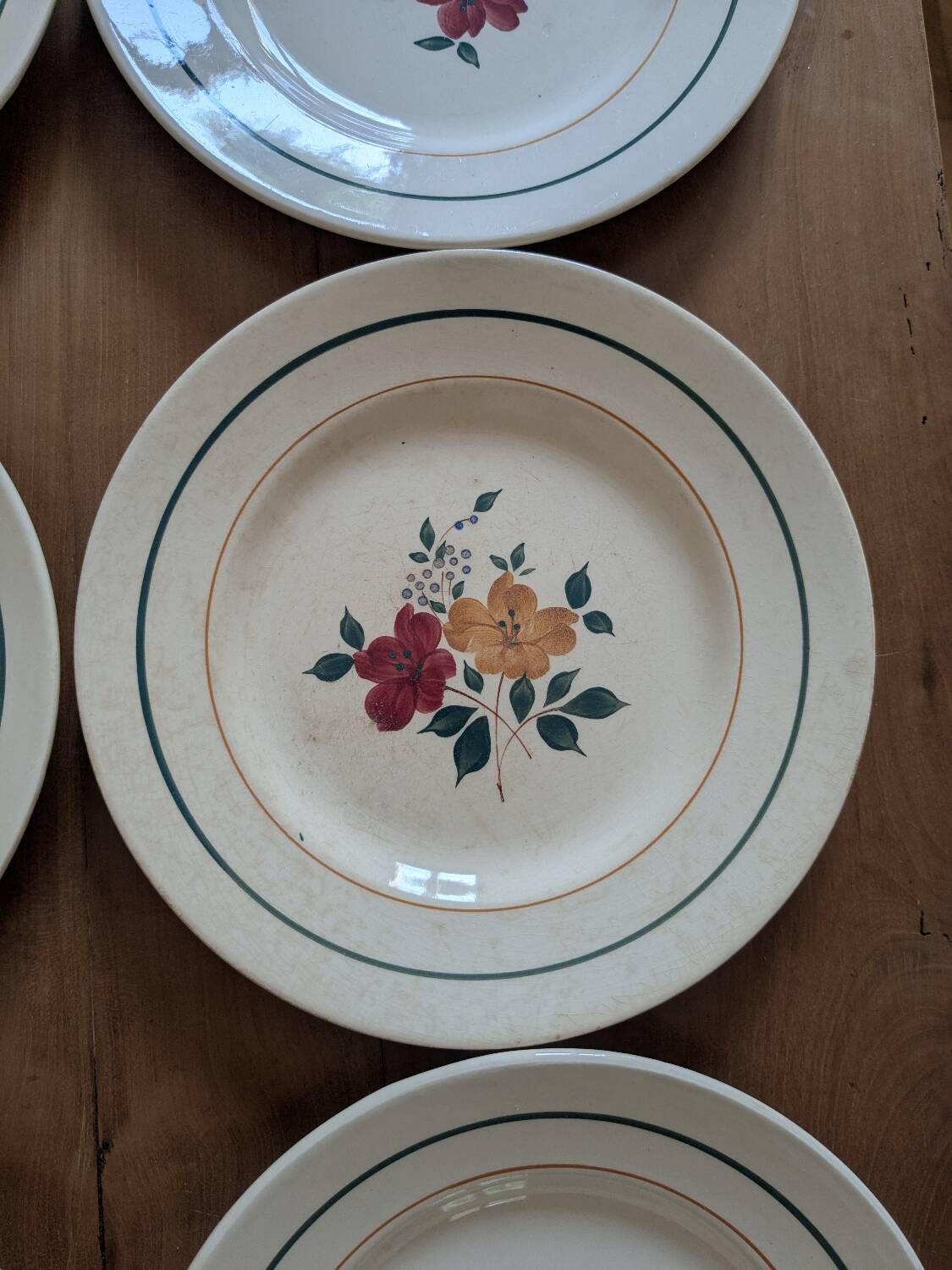 8 Marielle Saint Amand dinner plates