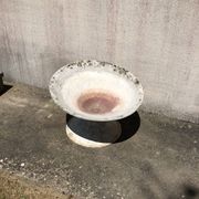 Planter