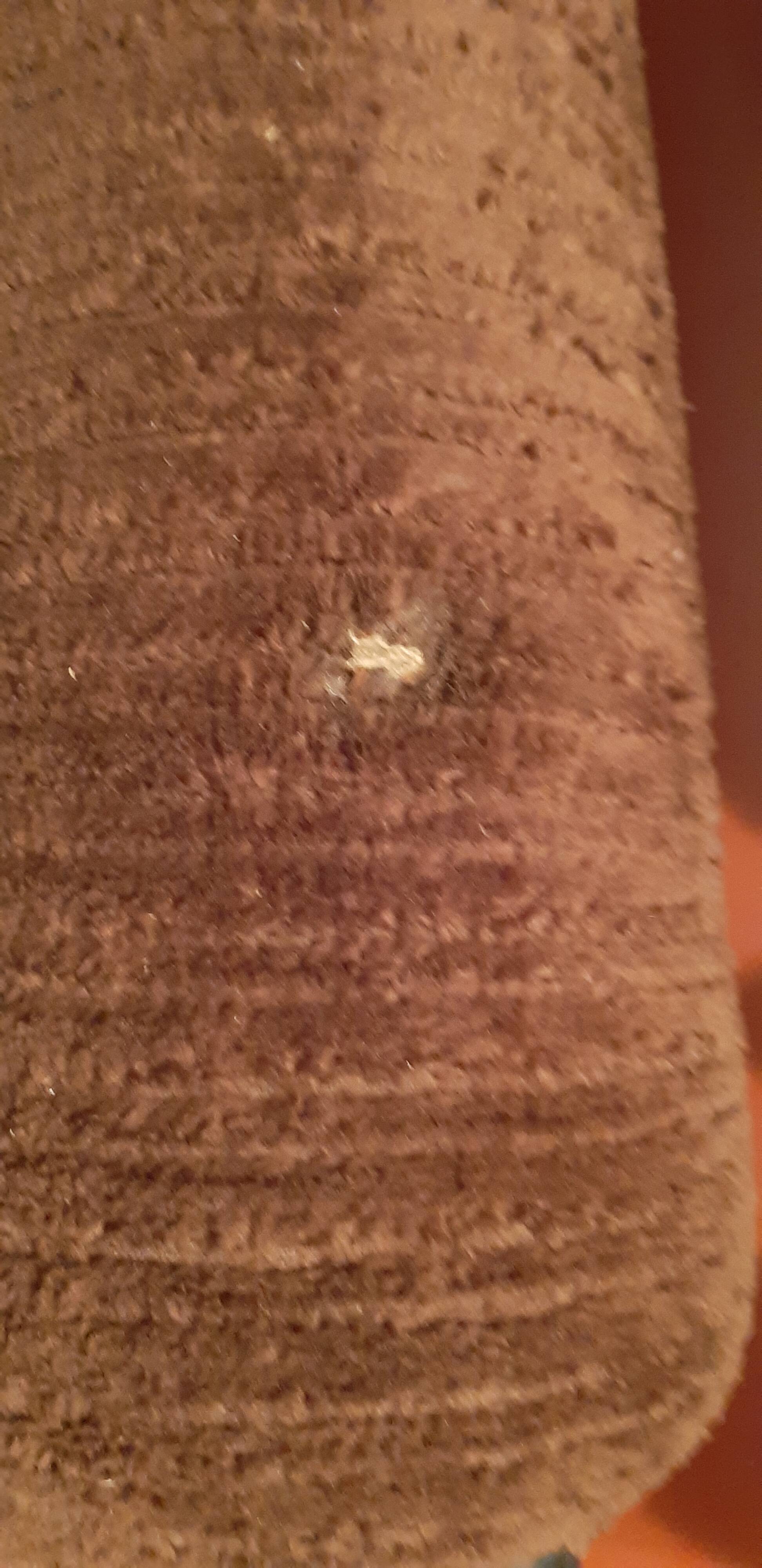 Pair of chauffeuse + pouf vintage fleece fabrics