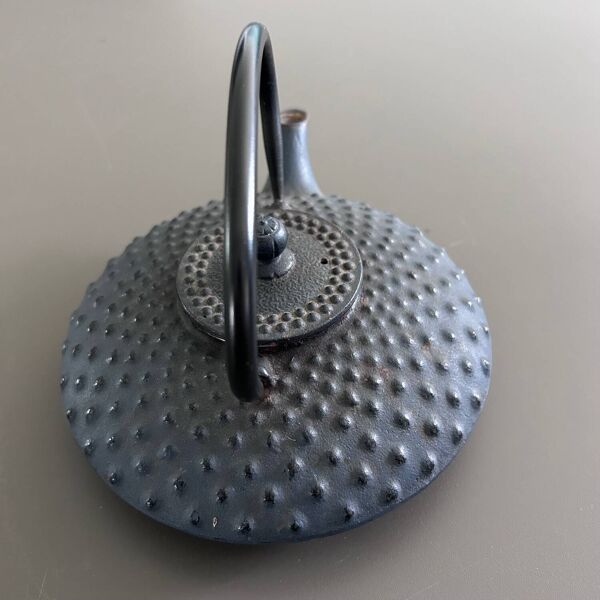 Théière japonaise en fonte