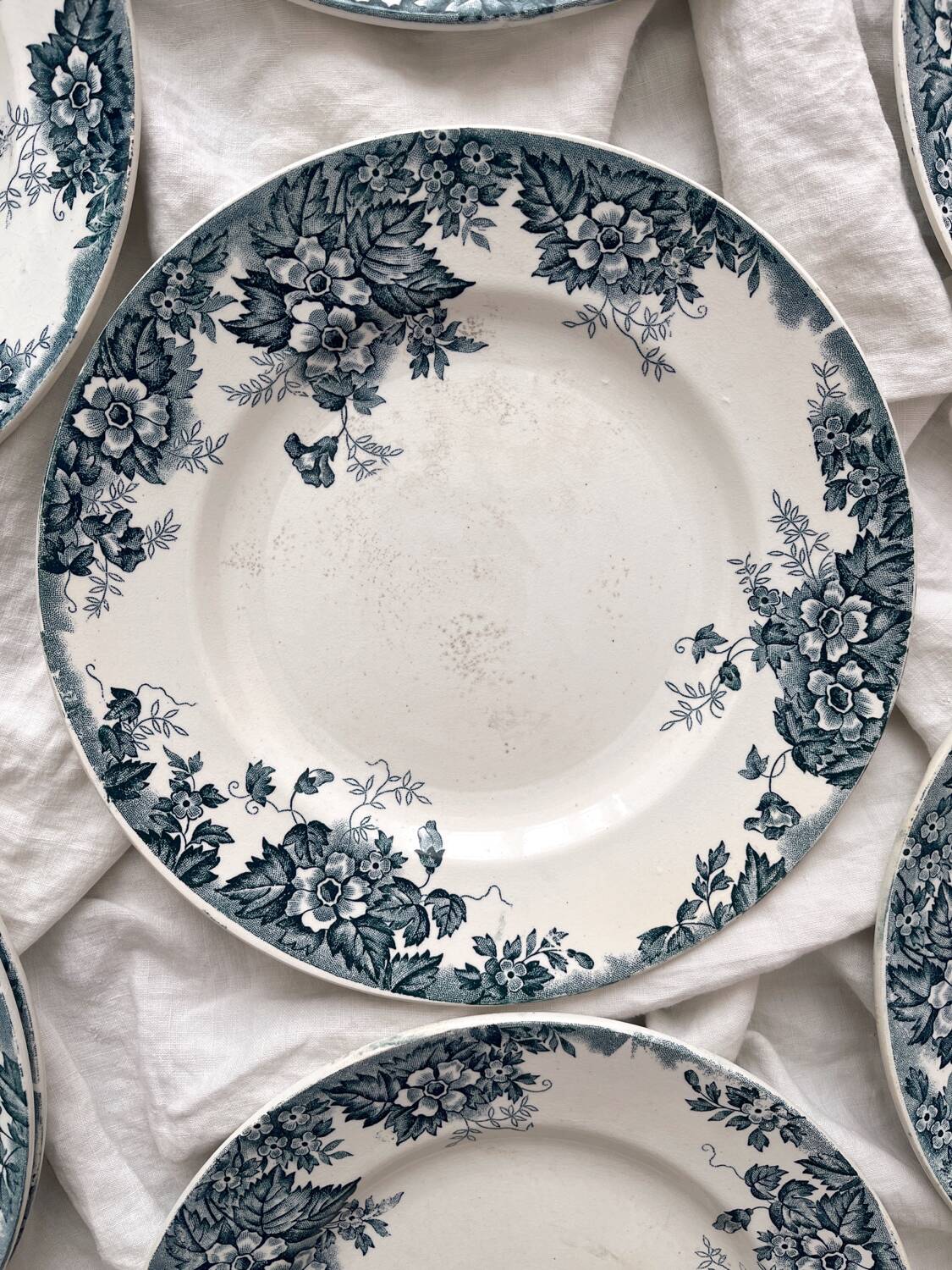 8 flat ironstone plates “Marie Louise” Saint Amand and Hamage