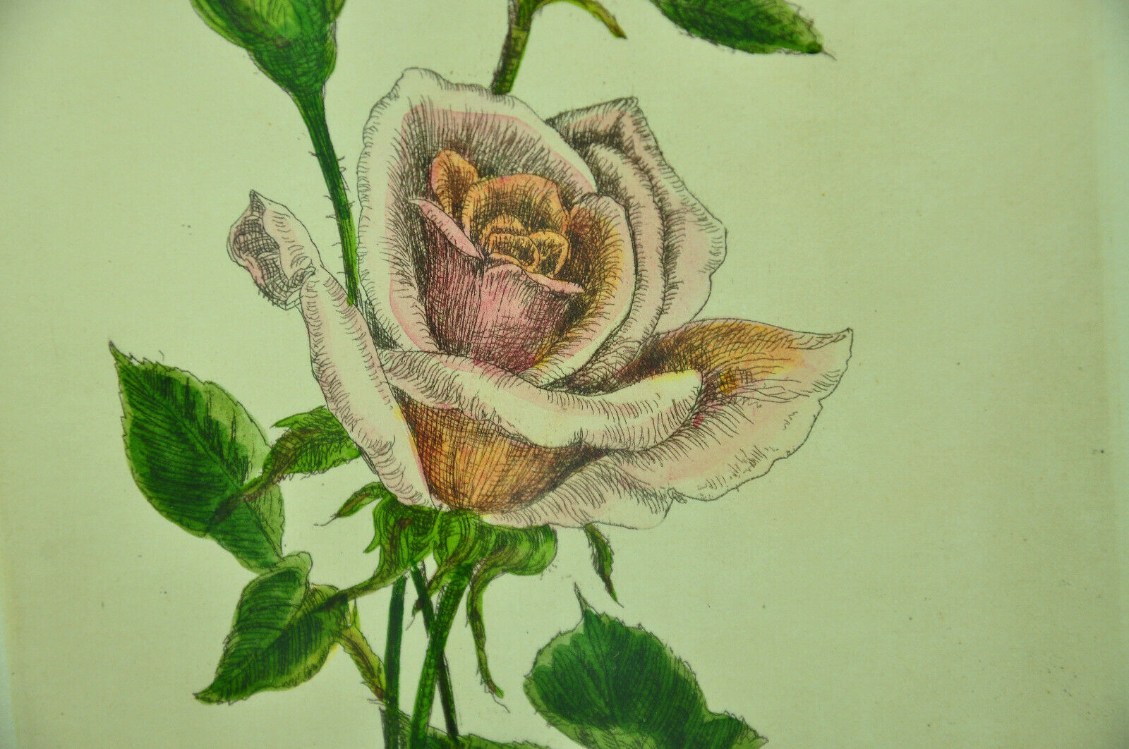 Pair of ancient lithographs of signed floral engravings to be identified