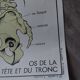 Rossignol school poster: the skeleton/excretion