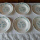 6 plates Veronica hollow blue flowers myosotis arcopal