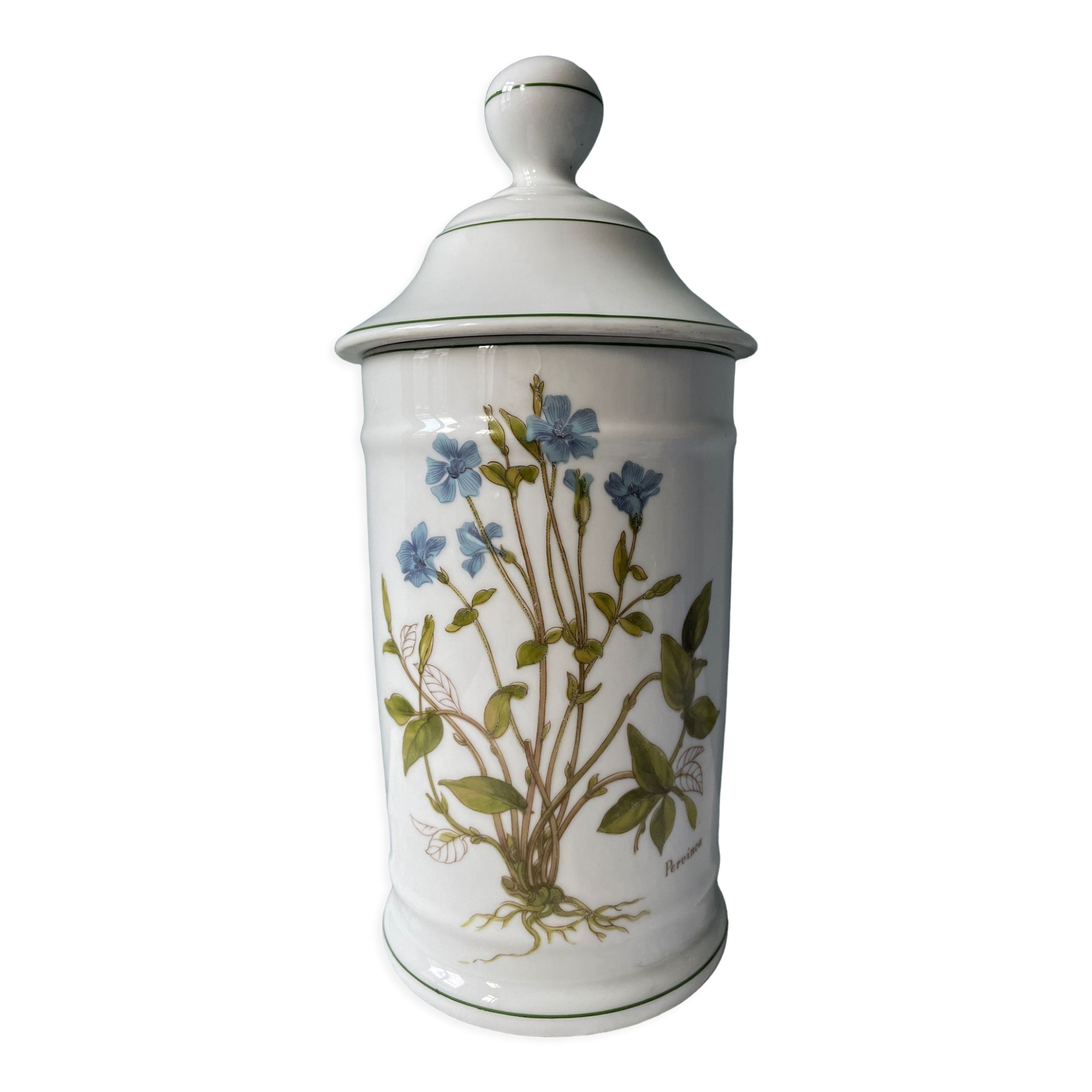 Medicine jar "Pervinca" in Limoges porcelain France