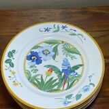 6 dessert plates Ara Pier Import