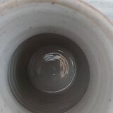 Pitcher in Berry sandstone