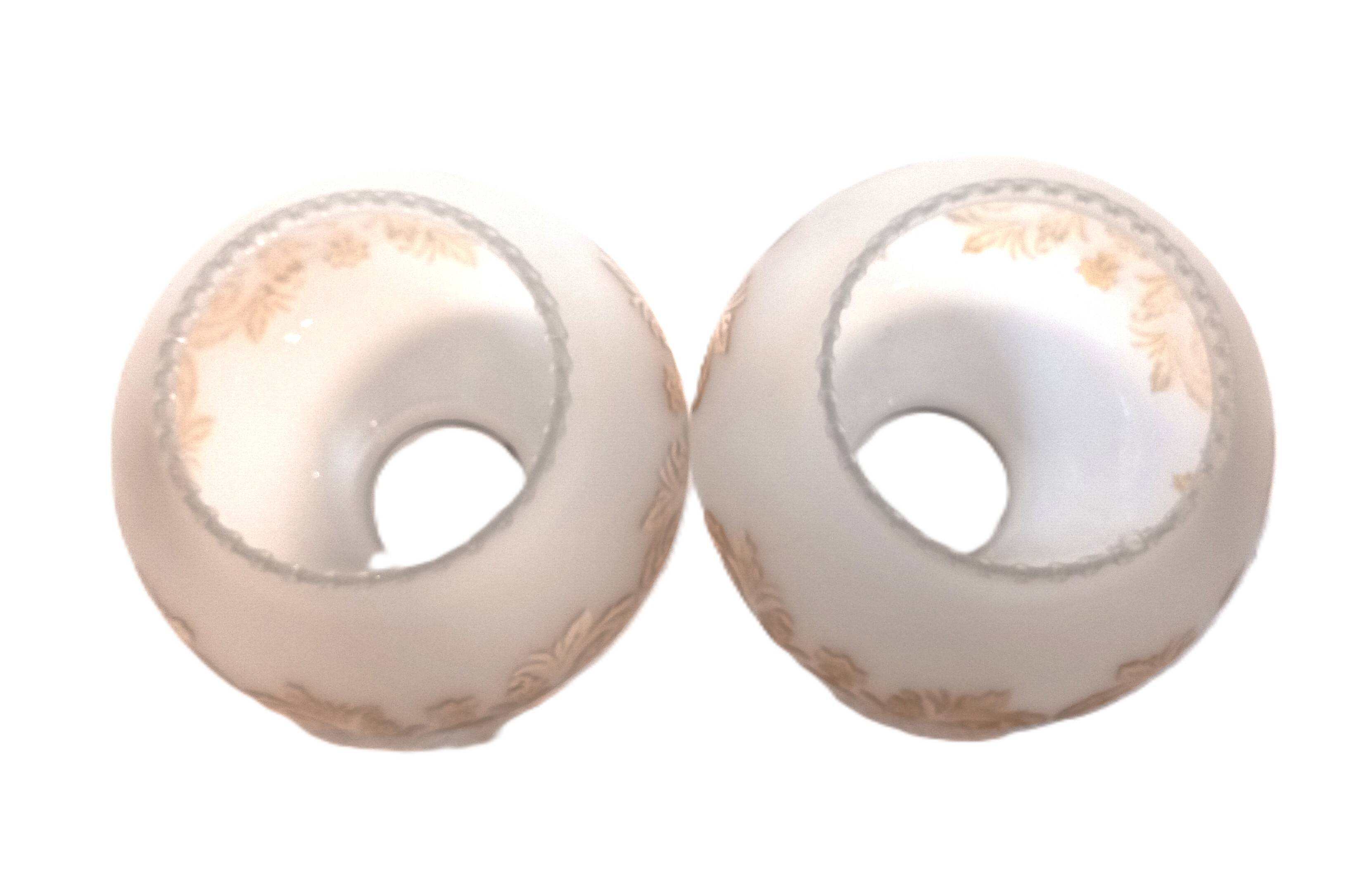 Pair of globes for light fixture