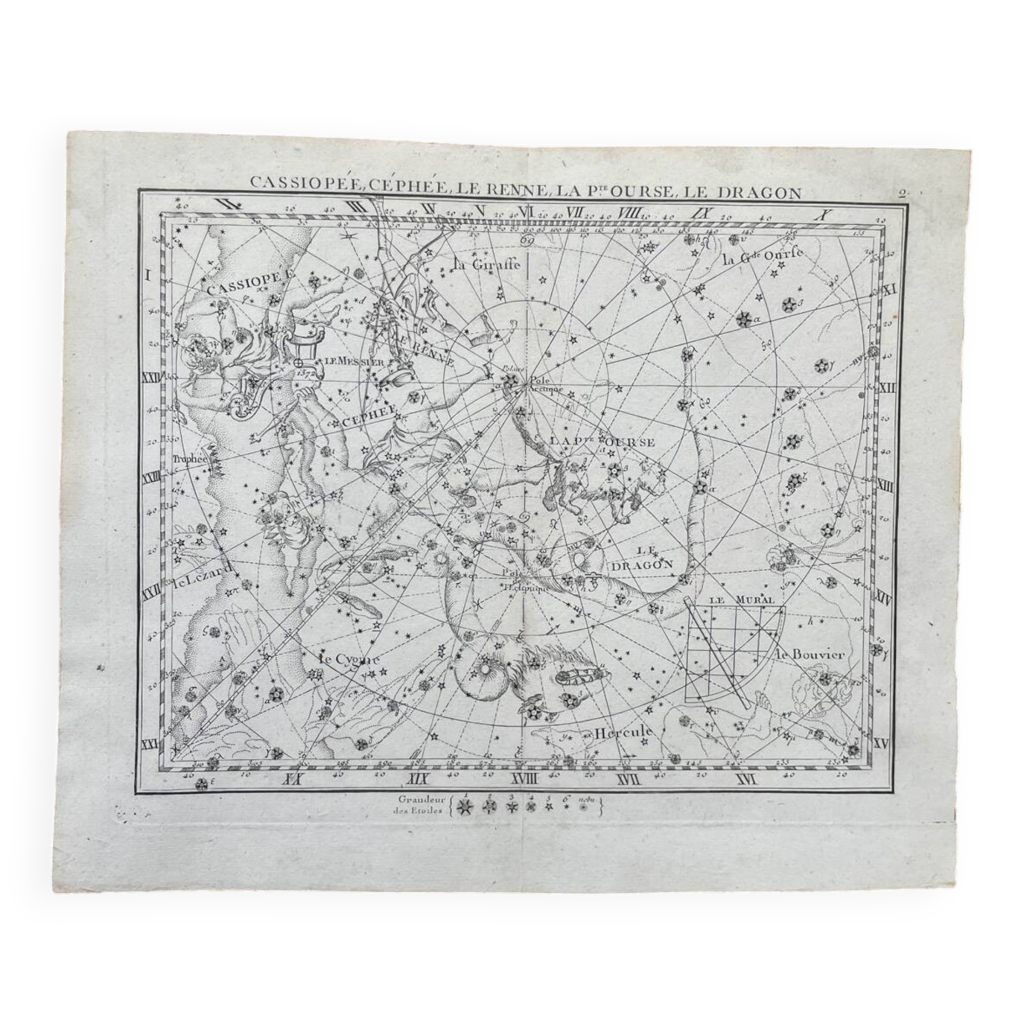 cassiop-e-c-ph-e-le-renne-la-petite-ourse-le-dragon-astronomie-selency