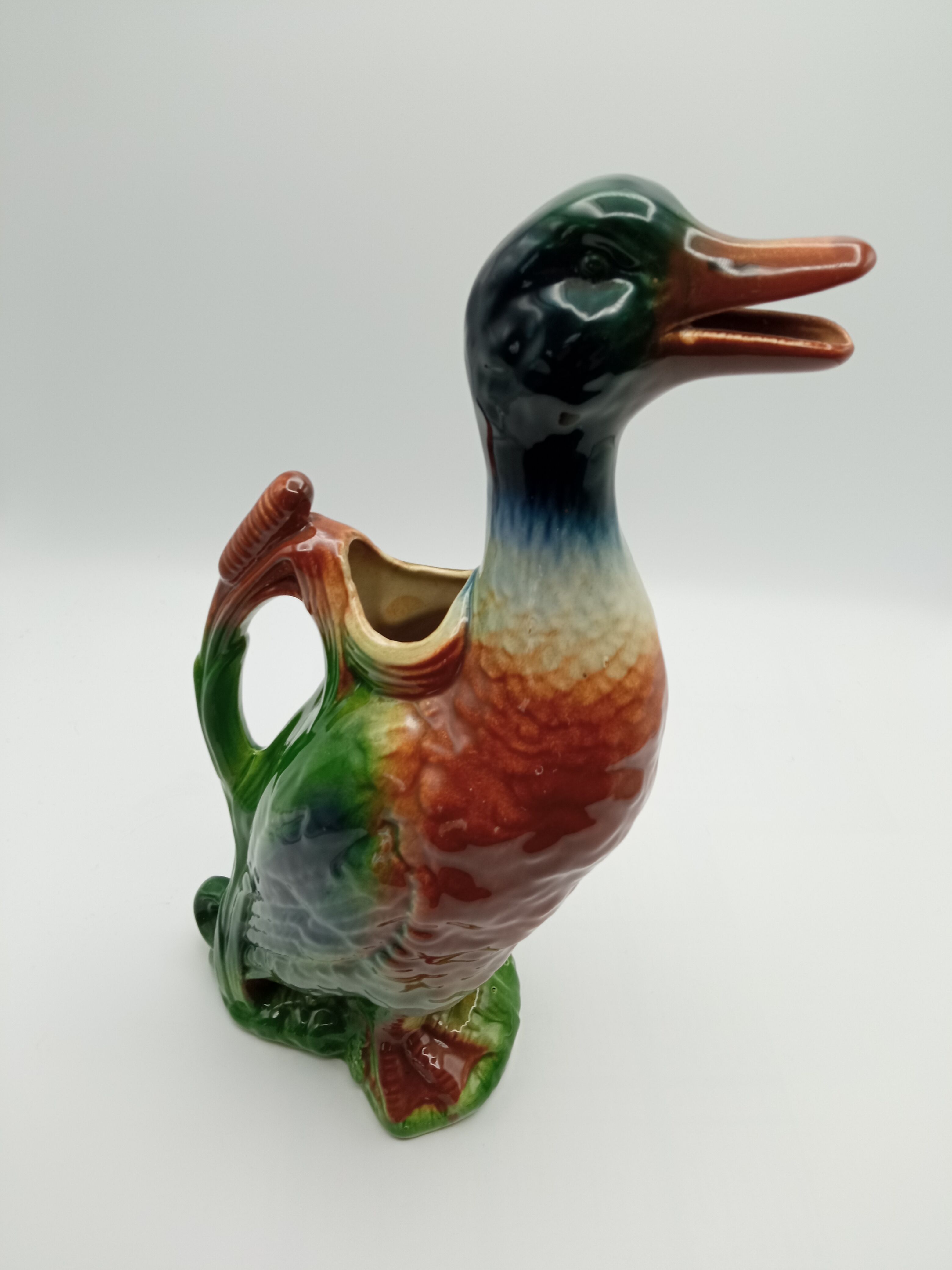 Duck pitcher in dabbling