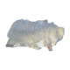 Sheepskin