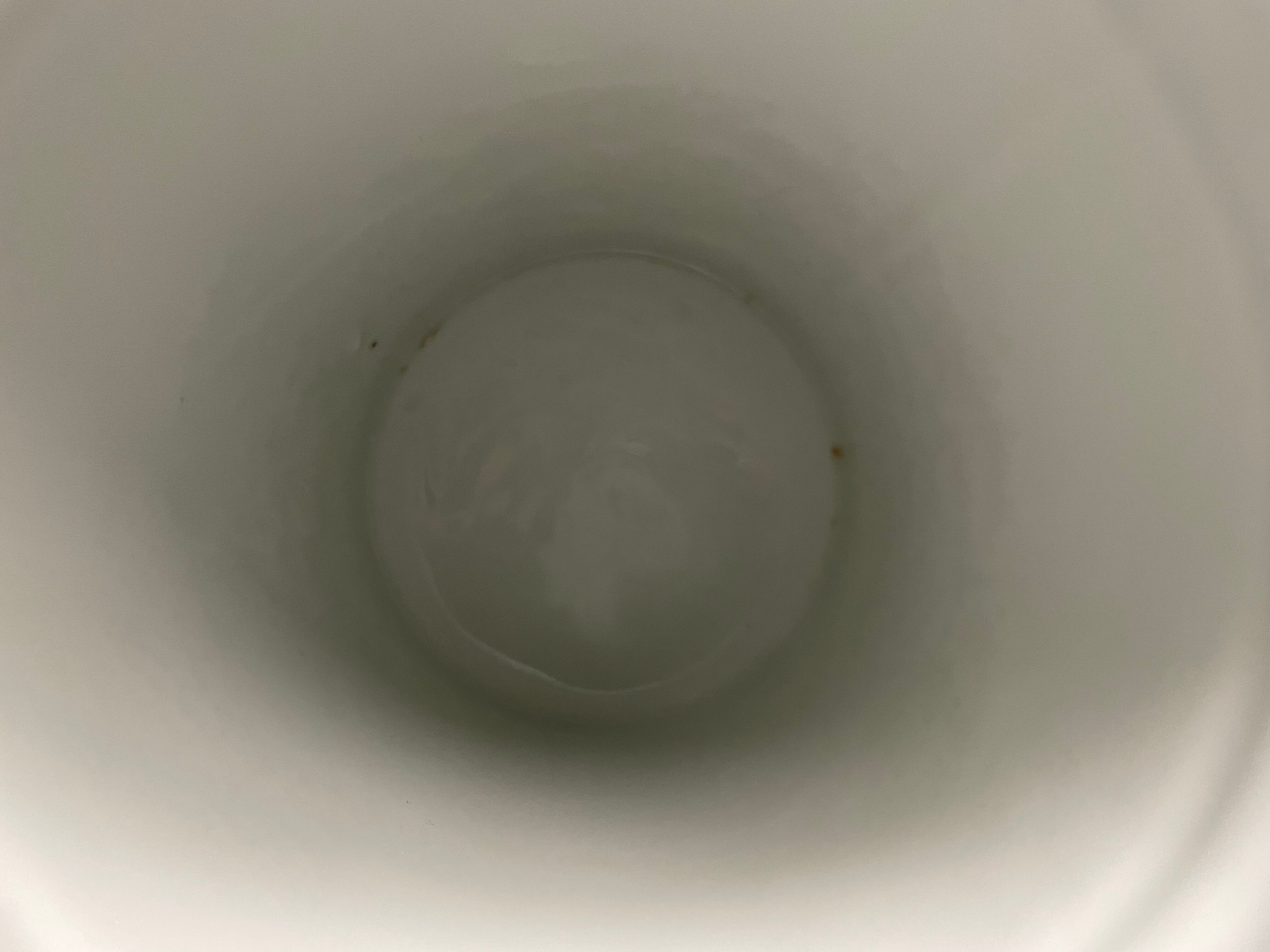 Twentieth century Paris porcelain pharmacy pot