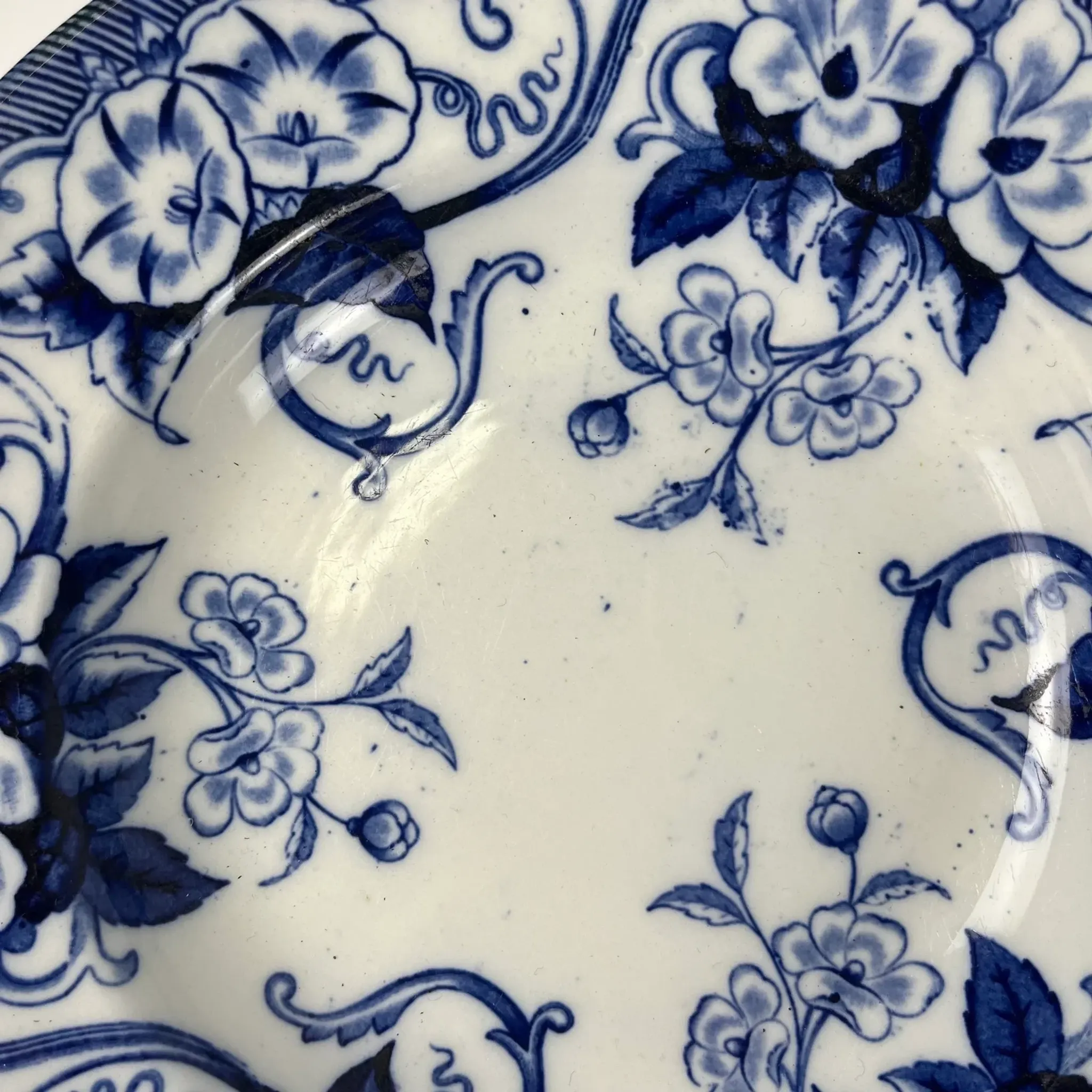 Set of 6 deep plates in ironstone "Flora" – Creil et Montereau, 19th century, blue