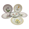 Assiettes Rovina Epinal