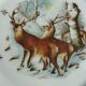 6 Limoges porcelain plates