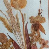 Authentic herbarium signed