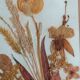Herbier authentique signé