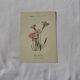 Botanical plate engraving flower France double-sided circa 1800 coloured