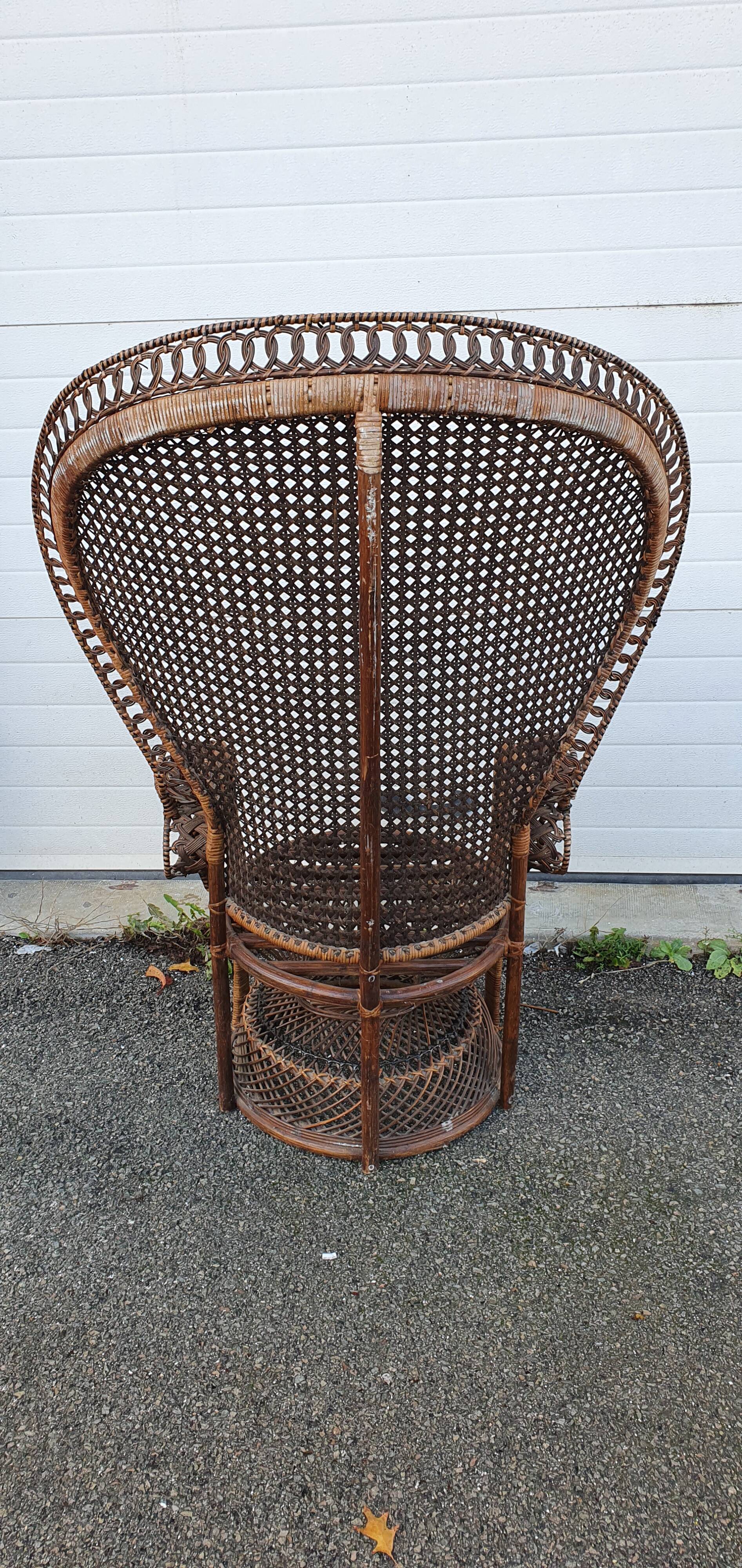 Fauteuil emmanuelle de 1970
