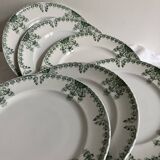 6 Fuchsia Onnaing flat plates