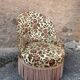 Vintage toad armchair
