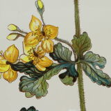 Large oval dish VILLEROY and BOCH model Botanica